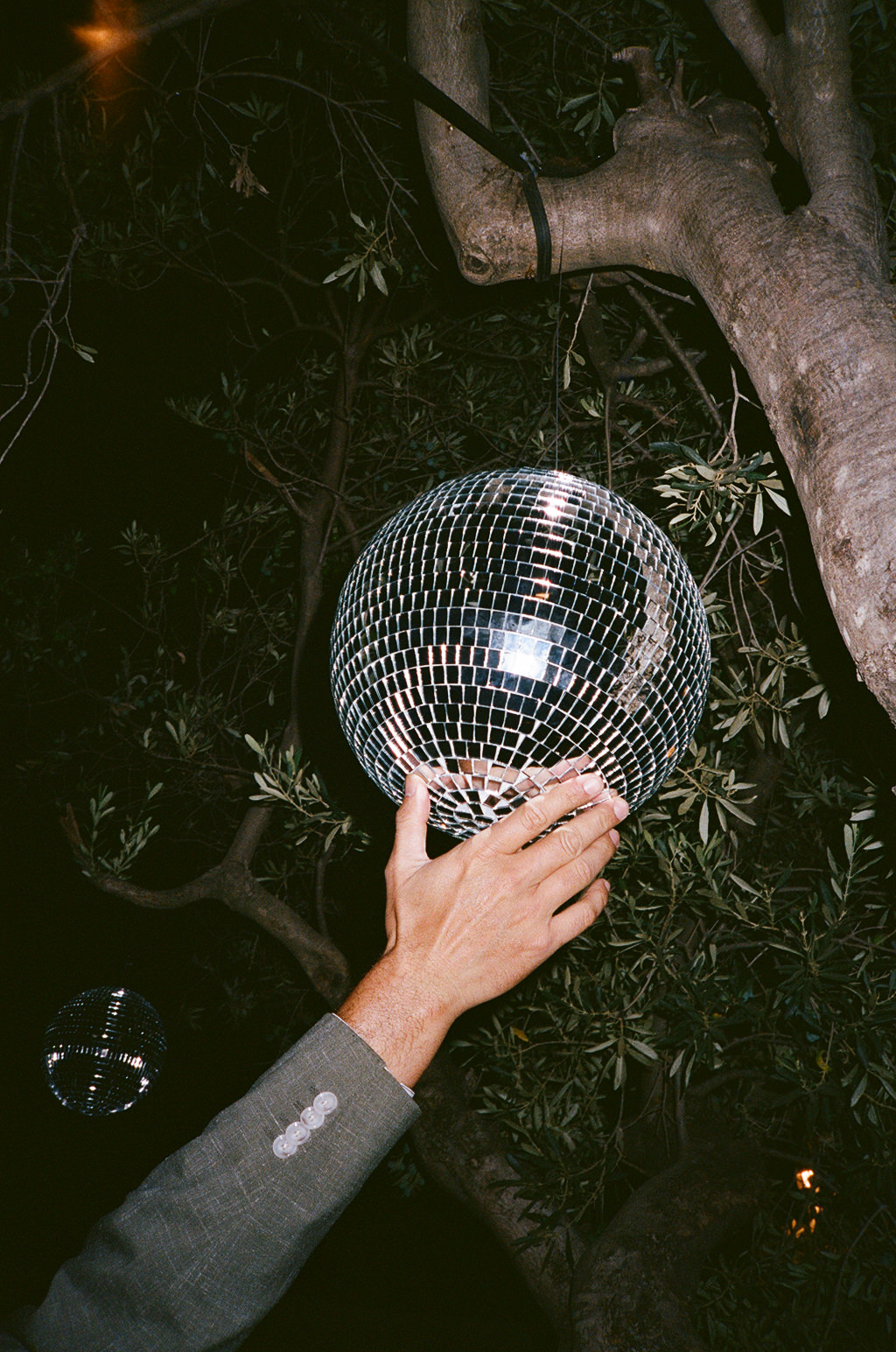 MargiFarmFilm disco ball