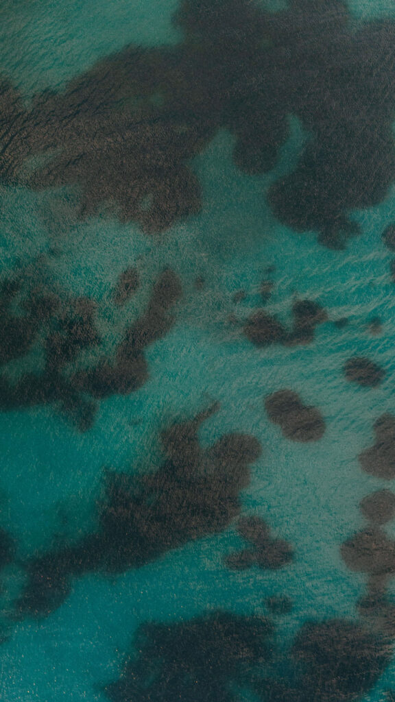 WeddingIslandAthensRiviera 118