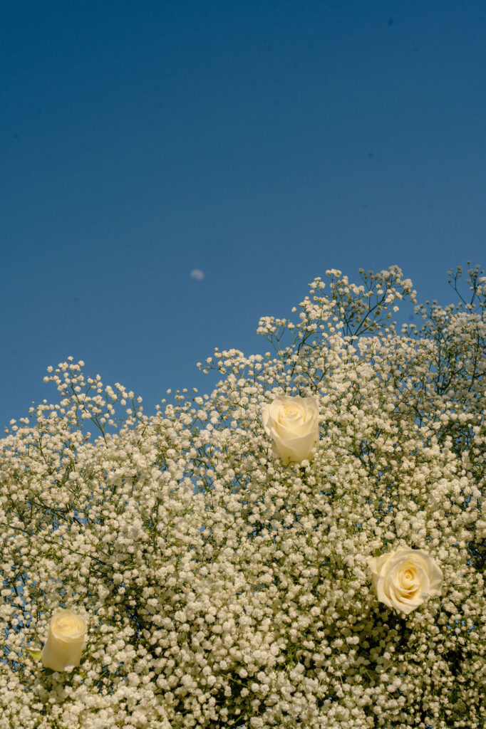 WeddingIslandAthensRiviera 40